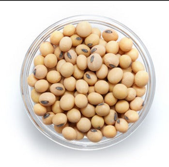 Organic Raw Soya Beans by Tootsi, bulk