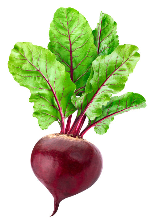 Beets bulk