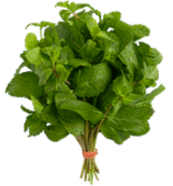 Mint
