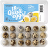 Fresh Quail Eggs by SpringCreek, 18