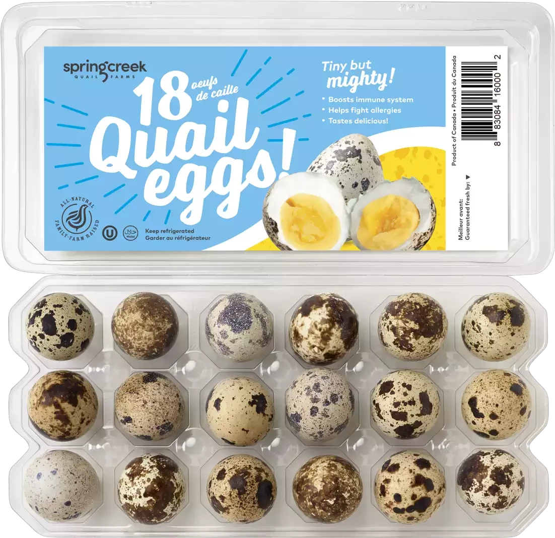 Fresh Quail Eggs by SpringCreek, 18
