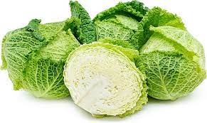 Organic Savoy Cabbage