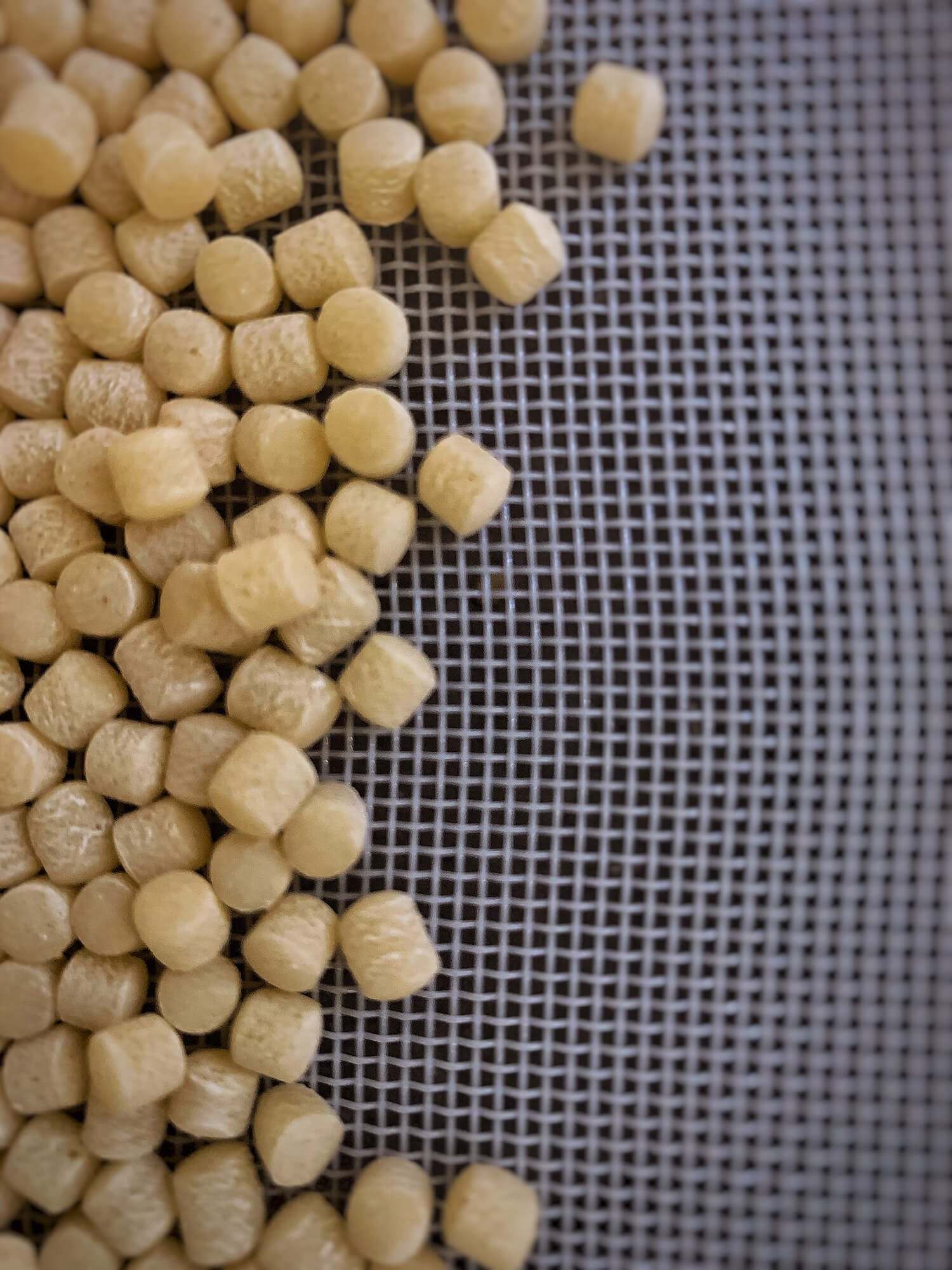 Fregola by Favuzzi 500g