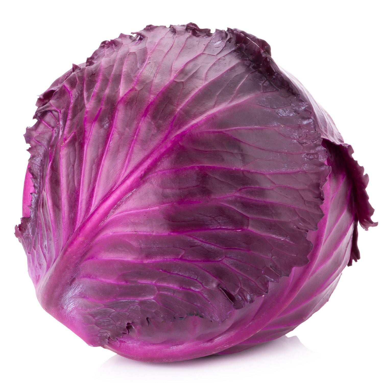 Cabbage - Organic Purple, 1