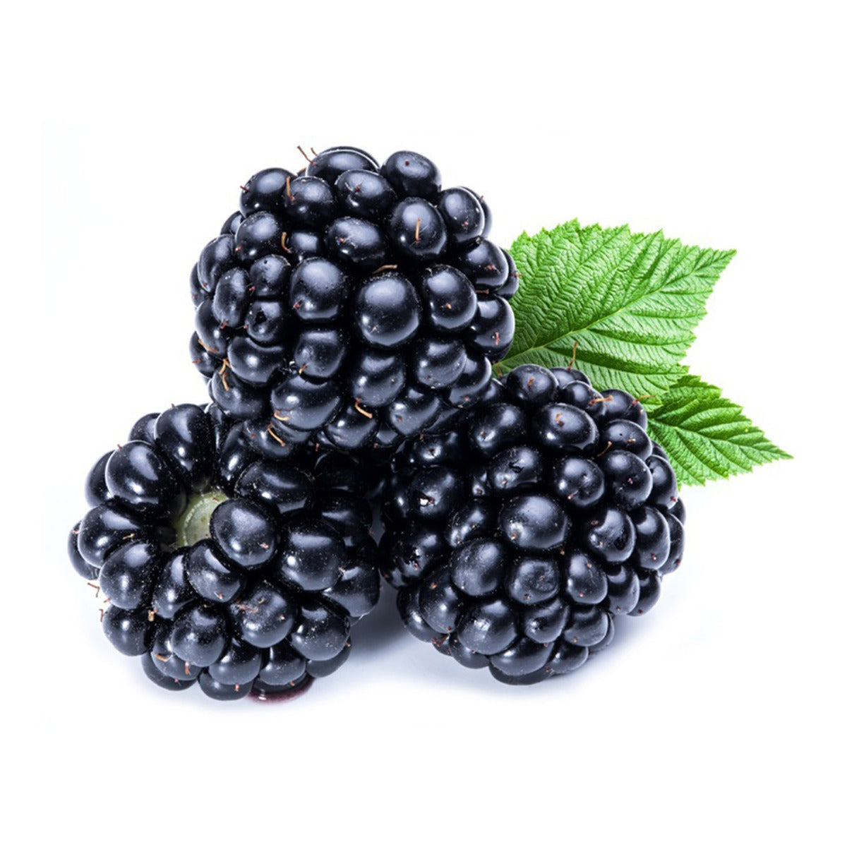 Blackberries - Organic, 6oz