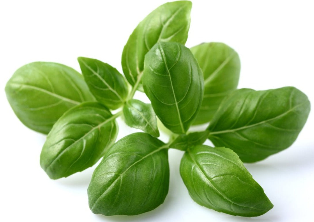 Organic Fresh Basil 42 g by Dime