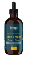 Wild Canadian Lion&#39;s Mane Tincture by Forage Hyperfoods, 118ml