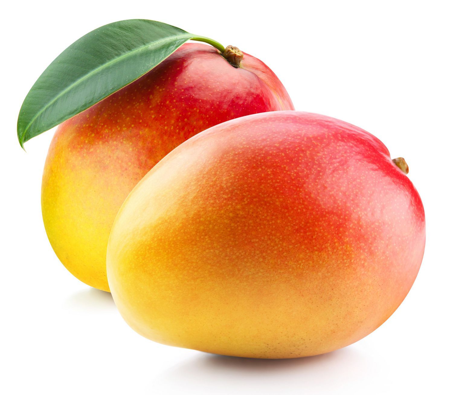 Organic Keitt Delight Mango, 1