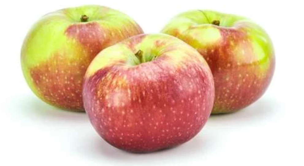 Organic Quebec Mcintosh Apple, 1