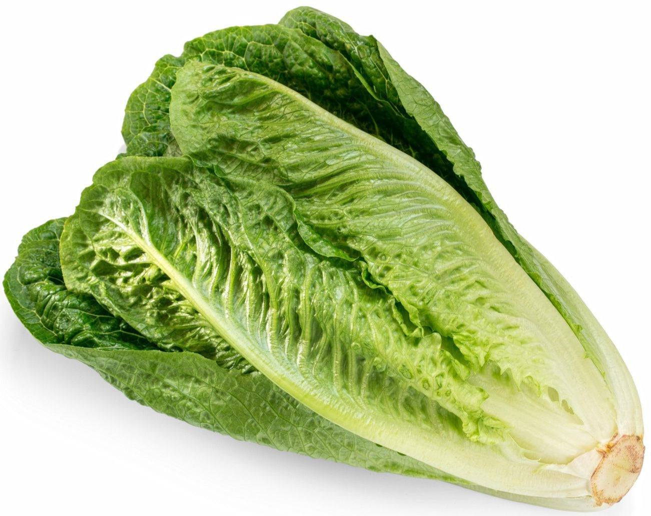 Organic Romaine Lettuce, 1