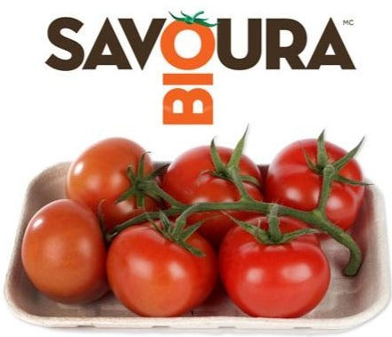 Organic Grapollo Savoura Tomatoes 700g