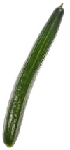 Cucumber - Organic English, 1