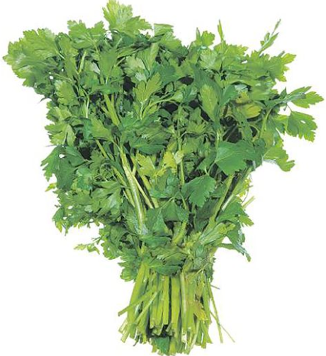 Organic Italian Parsley