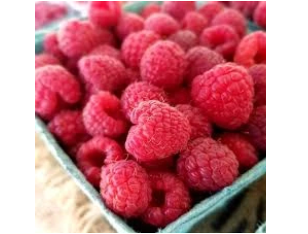 Raspberries - Organic, 6oz