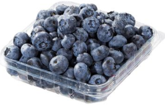 Organic Blueberries 170g