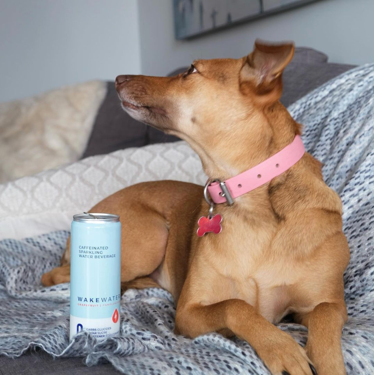 Lemon Wakewater, 4 cans 355ml