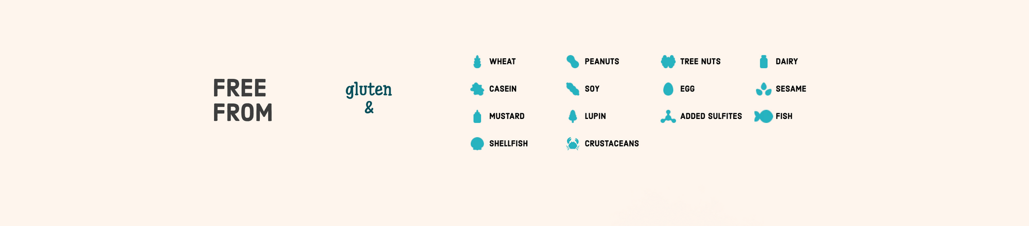 Dark Chocolate Morsels by Enjoy Life 255g