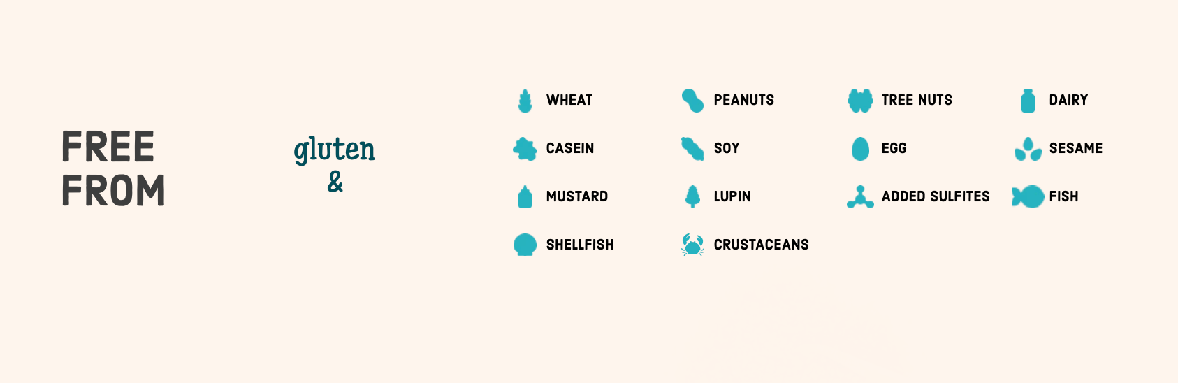 White Chocolate Mini Chips by Enjoy Life 255g