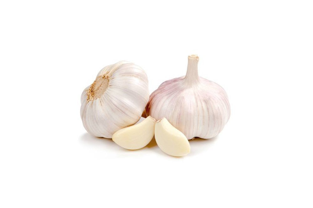 Organic Garlic