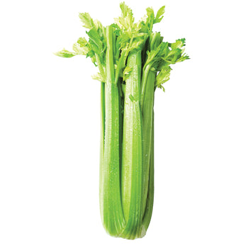 Organic Celery, 1