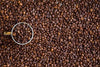 Espresso Noir Coffee in Bulk by Café Céleste