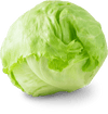 Organic Iceberg Lettuce