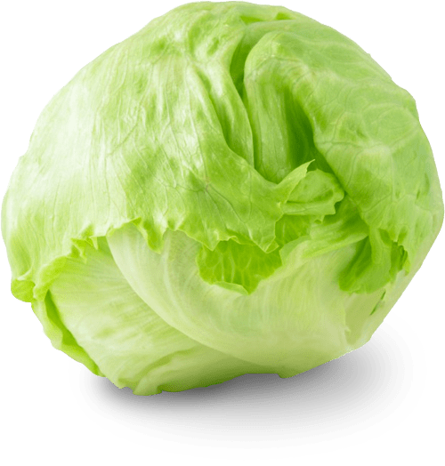 Organic Iceberg Lettuce