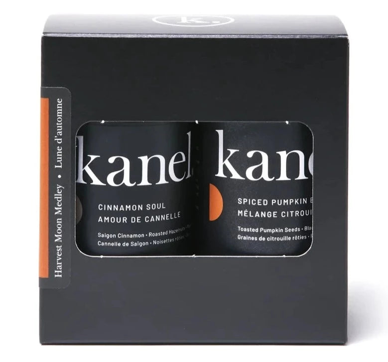 Harvest Moon Medley by Kanel