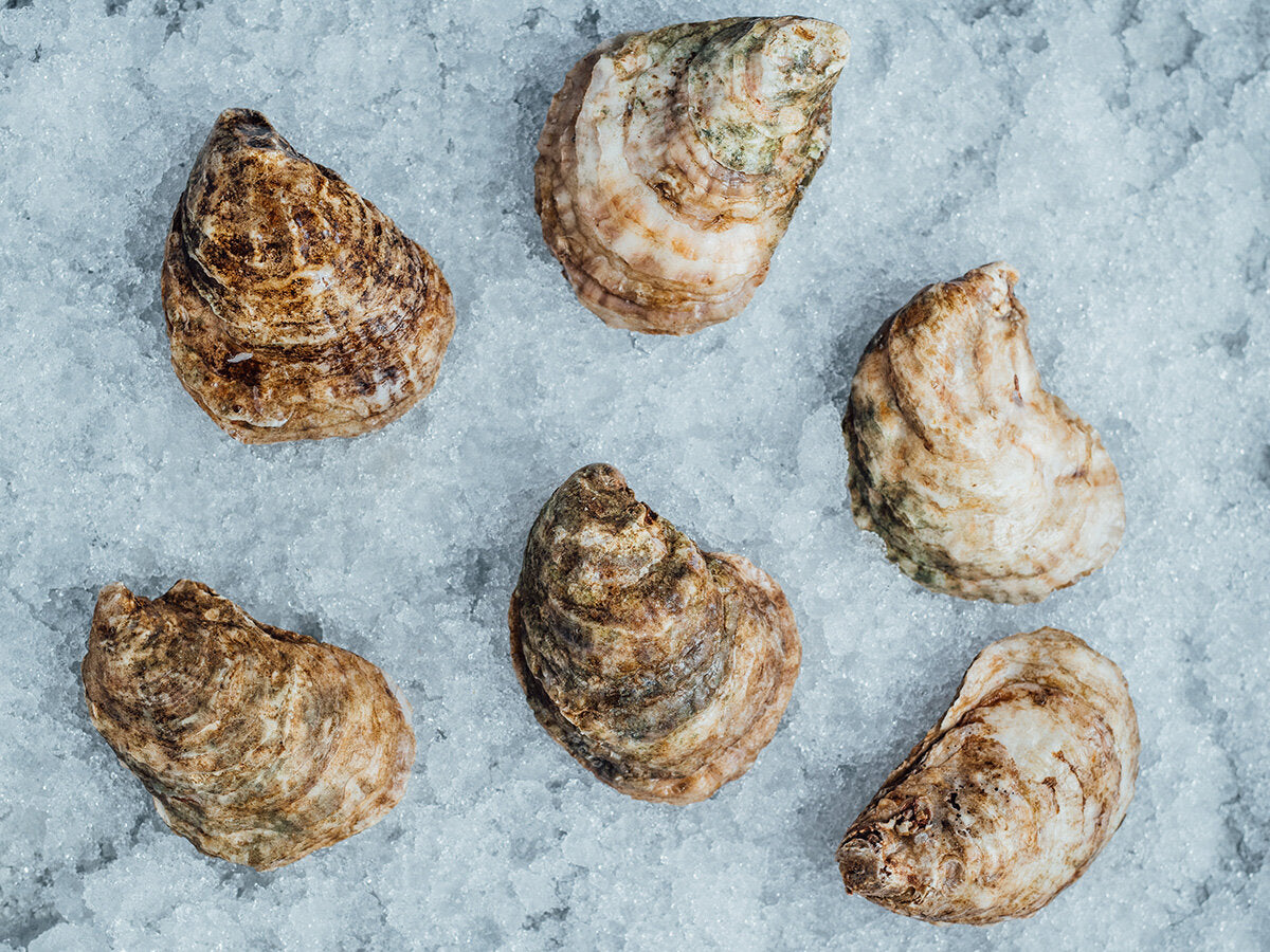 Gooseberry Bay Oysters, 25