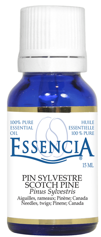 Essential Oil Scotch Pine by Essencia 15ml