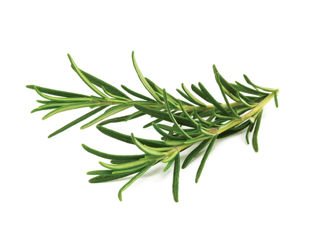Fresh Rosemary by Dime
