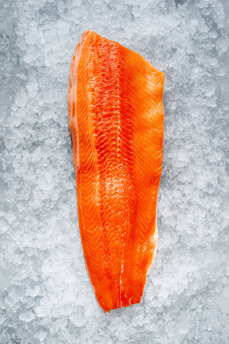 Fresh Arctic Char by Oysterblood from Quebec